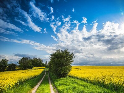 Holiday house Ferienhaus Heimathafen Langballigholz - Environment photo 29