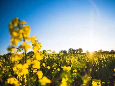 Holiday house Ferienhaus Heimathafen Langballigholz - Environment photo 31