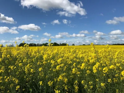 Holiday apartment Ferienwohnung Sommerby Garden Brodersby - Outdoor photo 7