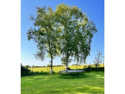 Holiday apartment Ferienwohnung Sommerby Garden Brodersby - Environment photo 25