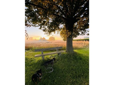 Holiday apartment Ferienwohnung Ostseehuus Apartment I Steinbergkirche - Environment photo 31