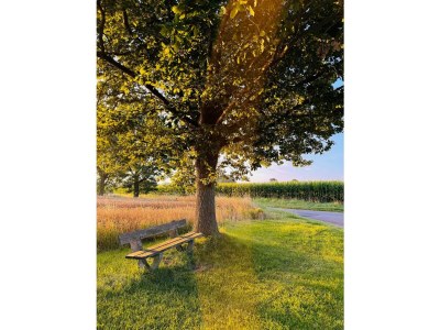 Holiday apartment Ferienwohnung Ostseehuus Apartment II Steinbergkirche - Environment photo 25