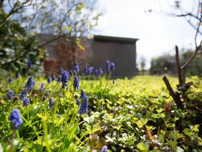 Holiday house Ferienhaus Auszeit Wormshöft Hasselberg - Outdoor photo 6