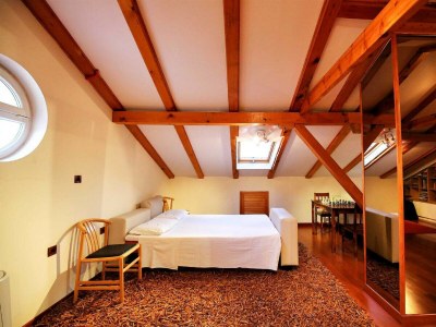 Villa Magnificent Villa Clara with big pool - Features photo 66