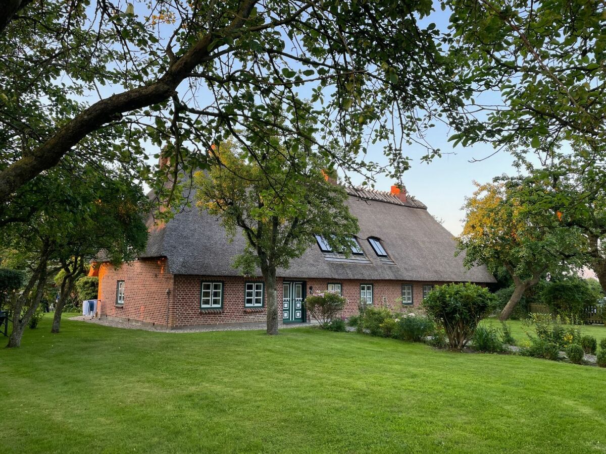 Holiday apartment Ferienwohnung Kuhstall Hasselberg - Outdoor photo 2