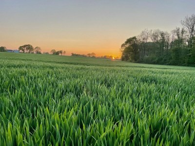 Holiday apartment Ferienwohnung Kuhstall Hasselberg - Environment photo 37