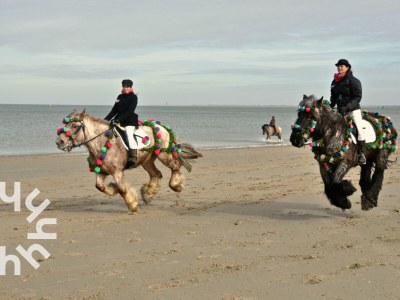 Chalet Chalet Renesse - ZE1184 - Environment photo 23