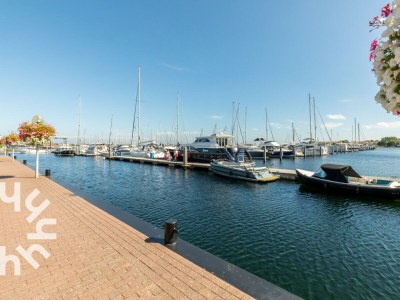 Chalet Chalet Renesse - ZE1184 - Environment photo 24