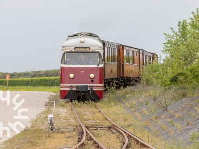 Chalet Chalet Renesse - ZE1184 - Environment photo 25