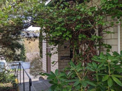 Holiday house Holiday home Becker, Konz - Outdoor photo 2