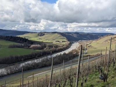 Holiday house Holiday home Becker, Konz - Environment photo 39