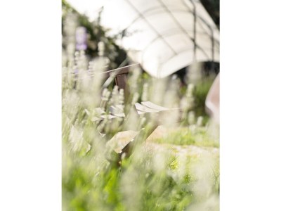 Holiday apartment Donna Dolasilla - Outdoor photo 8