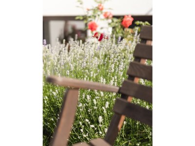 Holiday apartment Donna Dolasilla - Outdoor photo 12