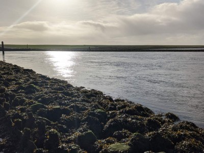 Holiday house 6 person holiday home in Højer-By Traum - Outdoor photo 20