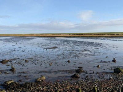 Holiday house 6 person holiday home in Højer-By Traum - Outdoor photo 21