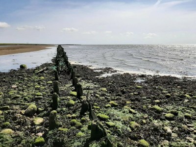 Holiday house 6 person holiday home in Højer-By Traum - Outdoor photo 23