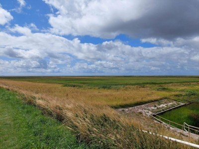Holiday house 6 person holiday home in Højer-By Traum - Outdoor photo 24