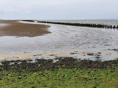 Holiday house 6 person holiday home in Højer-By Traum - Outdoor photo 25