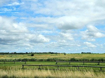 Holiday house 6 person holiday home in Højer-By Traum - Outdoor photo 26