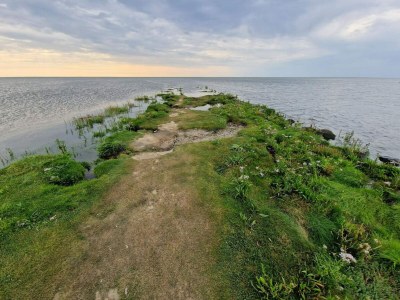 Holiday house 6 person holiday home in Højer-By Traum - Outdoor photo 38