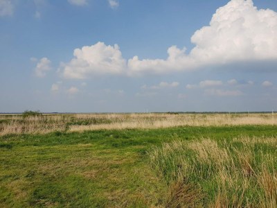 Holiday house Idyllisches Naturrefugium -- By Traum Ferienwohnungen - Outdoor photo 32