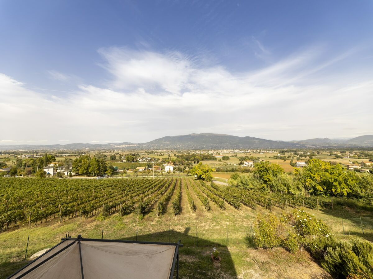 Villa Klassische Villa für Familien mit Haustieren - Outdoor photo 3