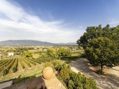 Villa Klassische Villa für Familien mit Haustieren - Outdoor photo 8