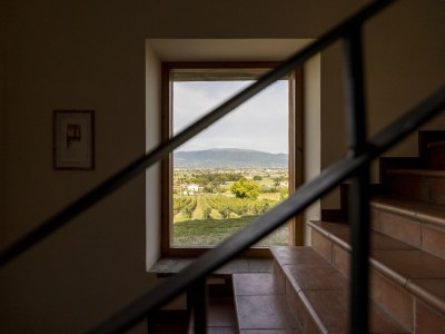 Villa Klassische Villa für Familien mit Haustieren - Features photo 24