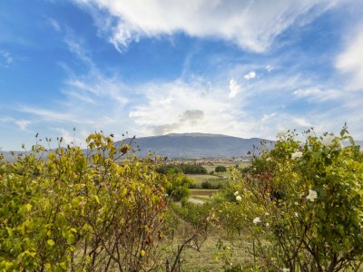 Villa Klassische Villa für Familien mit Haustieren - Environment photo 40