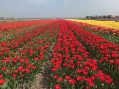 Holiday house The Connection - Environment photo 26