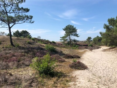 Holiday house The Connection - Environment photo 27