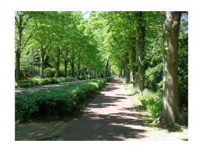 Holiday house The Connection - Environment photo 28