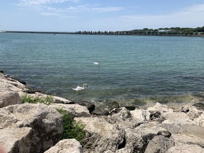 Apartment Residence Acapulco trilocale - Environment photo 21