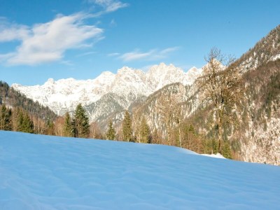 Holiday house Chalet in Hochfilzen am Skihang - Outdoor photo 10