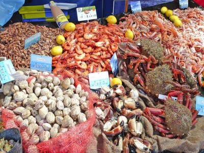 Holiday house Apartment in Pordic near Sandy Beach - Environment photo 24