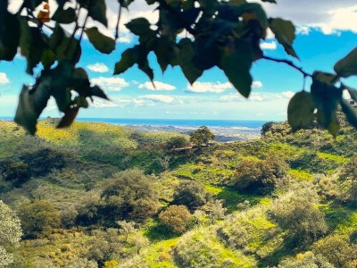 Villa Villa in Malaga, private pool and sea view - Outdoor photo 4