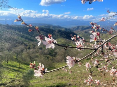 Villa Villa in Malaga, private pool and sea view - Environment photo 32