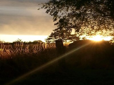 Holiday house Cottage in Auvergne near Cascade Gour - Outdoor photo 9