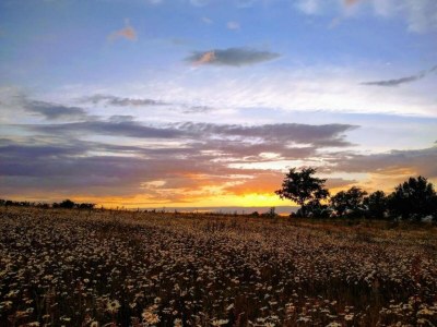 Holiday house Cottage in Auvergne near Cascade Gour - Environment photo 35
