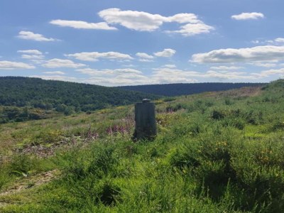 Holiday house Unique holiday home in Noordwolde with garden - Environment photo 29
