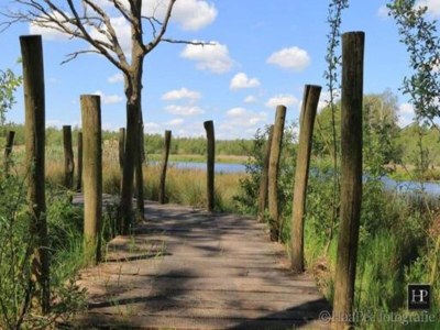 Holiday house Unique holiday home in Noordwolde with garden - Environment photo 31