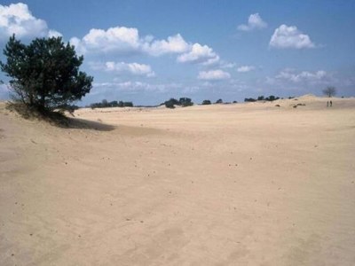 Holiday house Unique holiday home in Noordwolde with garden - Environment photo 32