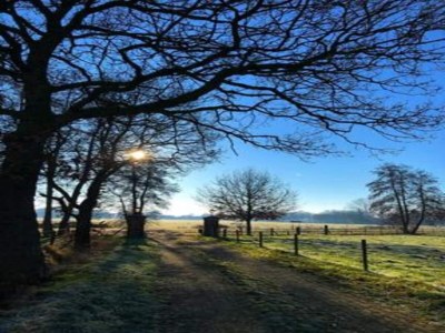 Holiday house Unique holiday home in Noordwolde with garden - Environment photo 35