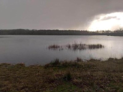 Holiday house Unique holiday home in Noordwolde with garden - Environment photo 39