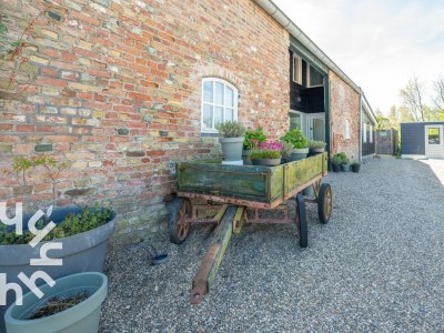 Holiday house Holiday house Veere - ZE031 - Environment photo 28