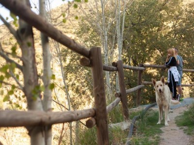 Holiday house Holiday Home in Laroya with Pool & BBQ - Environment photo 24