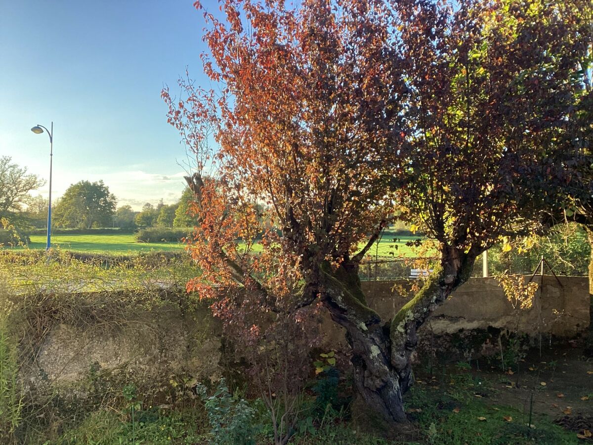 Holiday house Charming Home by River Allier - Outdoor photo 5