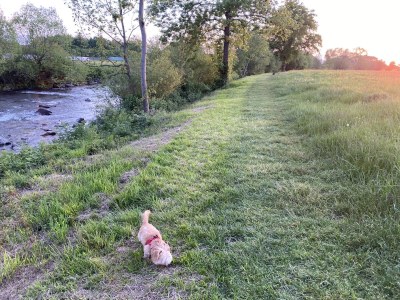 Holiday apartment pool view - Environment photo 26