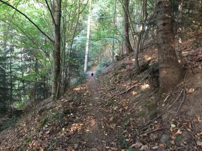 Holiday apartment pool view - Environment photo 27