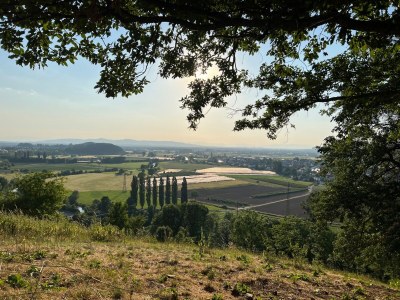 Holiday apartment pool view - Environment photo 30